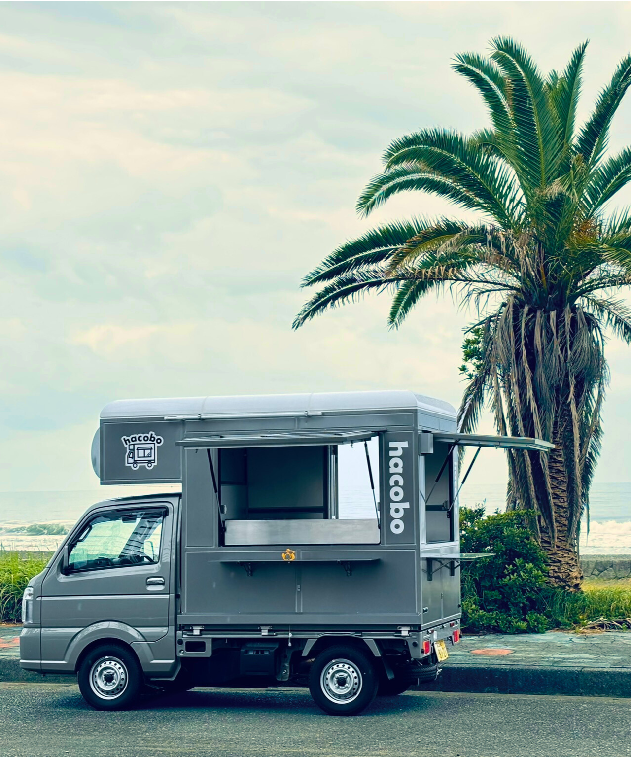 静岡県の海で撮影したhacobo